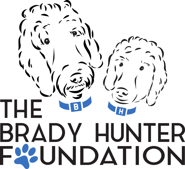 Hero Dog Awards Sponsor - The Brady Hunter Foundation